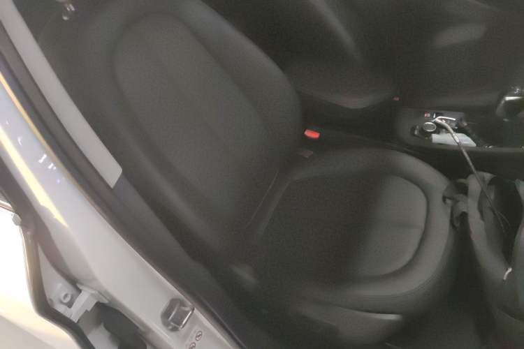 Used BMW X1 2018 sDrive20Li Leading Model Right Front Seat