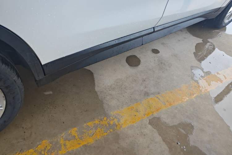 Used BMW X1 2018 sDrive20Li Leading Model Right Side Sill