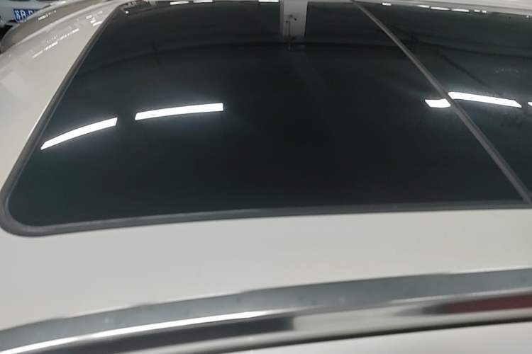 Used BMW X1 2018 xDrive20Li Luxury Edition Roof