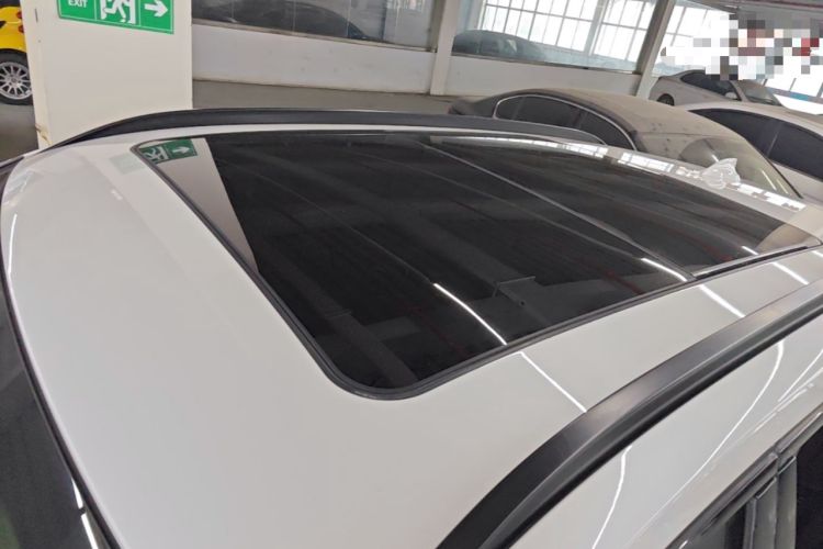 Used BMW X1 2018 xDrive20Li Luxury Edition Roof