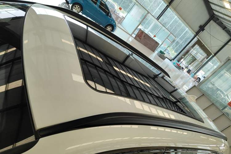 Used BMW X1 2018 xDrive20Li Luxury Edition Roof