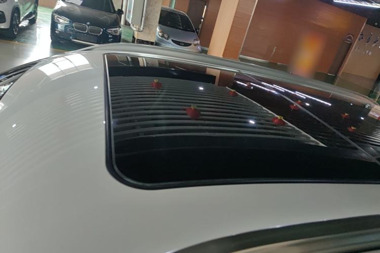 Used BMW X1 2018 sDrive20Li Leading Model Roof