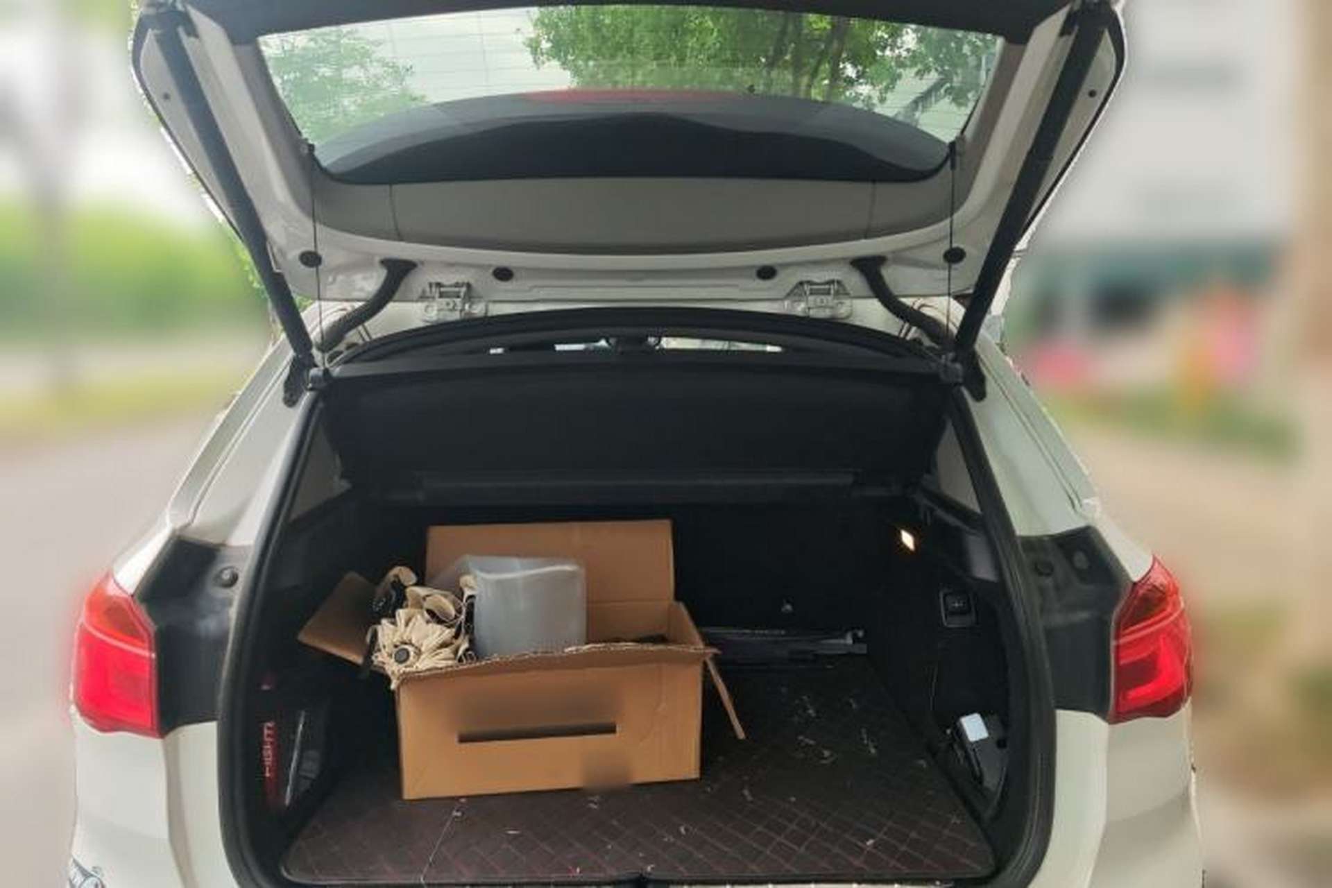Used BMW X1 2018 sDrive20Li Leading Model Trunk