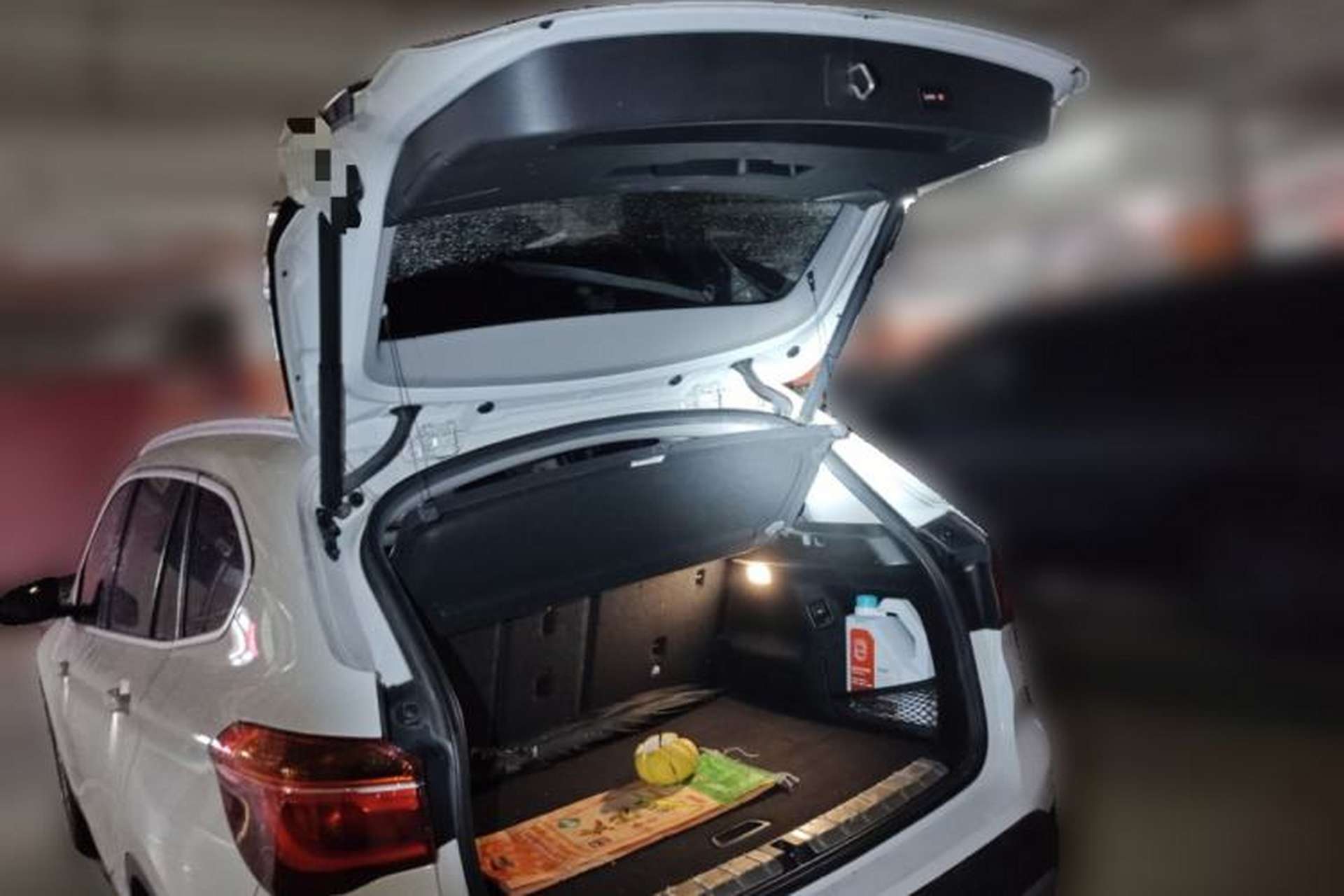 Used BMW X1 2018 sDrive20Li Leading Model Trunk