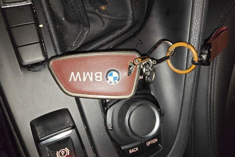 Used BMW X1 2018 sDrive20Li Leading Model Vehicle Key