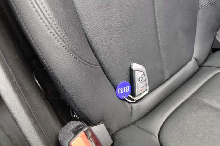Used BMW X1 2018 sDrive20Li Leading Model Vehicle Key