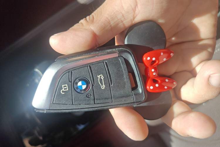 Used BMW X1 2018 sDrive18Li Luxury Model Vehicle Key
