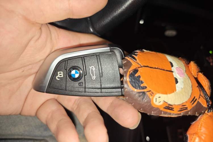 Used BMW X1 2018 xDrive20Li Luxury Model Vehicle Key