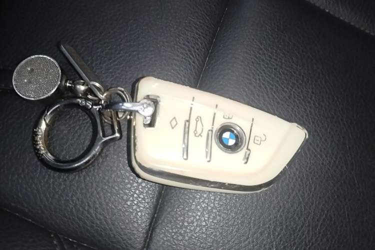 Used BMW X1 2018 sDrive20Li Leading Model Vehicle Key
