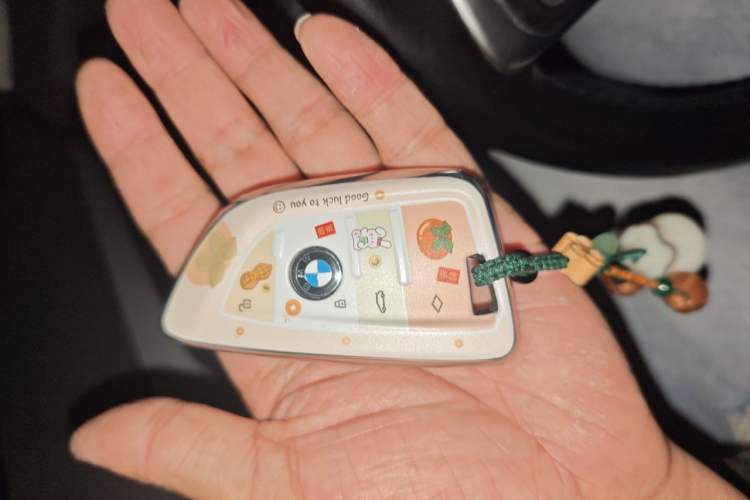 Used BMW X1 2018 sDrive18Li Fashion Model Vehicle Key