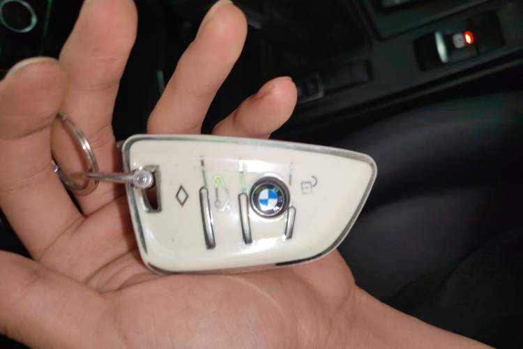 Used BMW X1 2018 sDrive20Li Leading Model Vehicle Key
