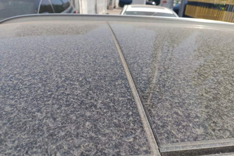 Used BMW X1 2019 sDrive18Li Fashion Model Roof