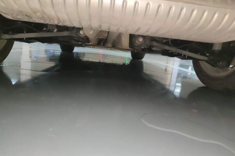 Used BMW X1 2019 sDrive18Li Fashion Model Chassis Rear