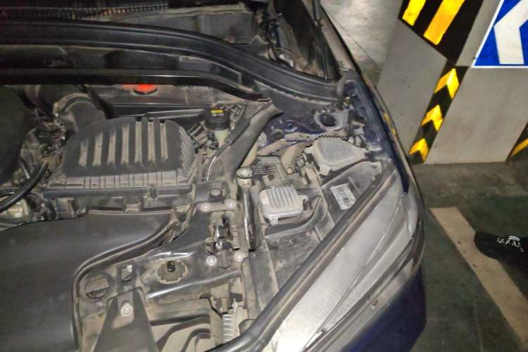 Used BMW X1 2019 xDrive20Li Luxury Model Engine Bay Left