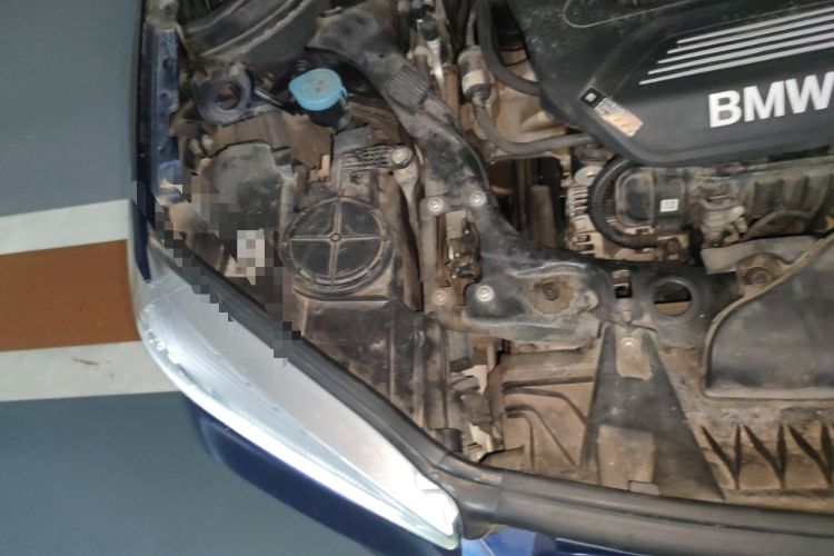 Used BMW X1 2019 sDrive18Li Fashion Model Engine Bay Right