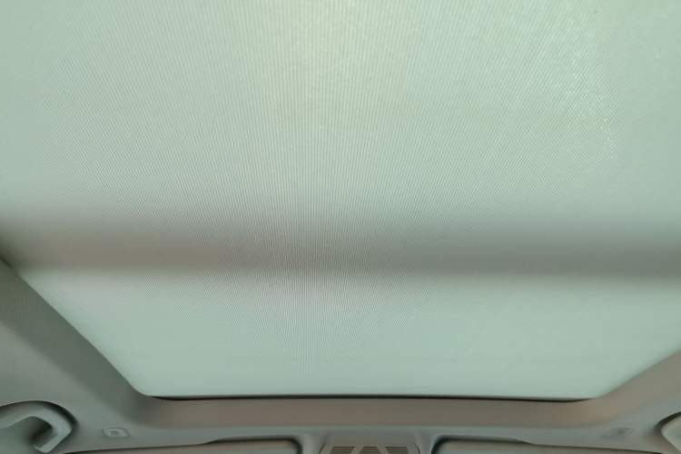 Used BMW X1 2019 xDrive20Li Luxury Model Headliner