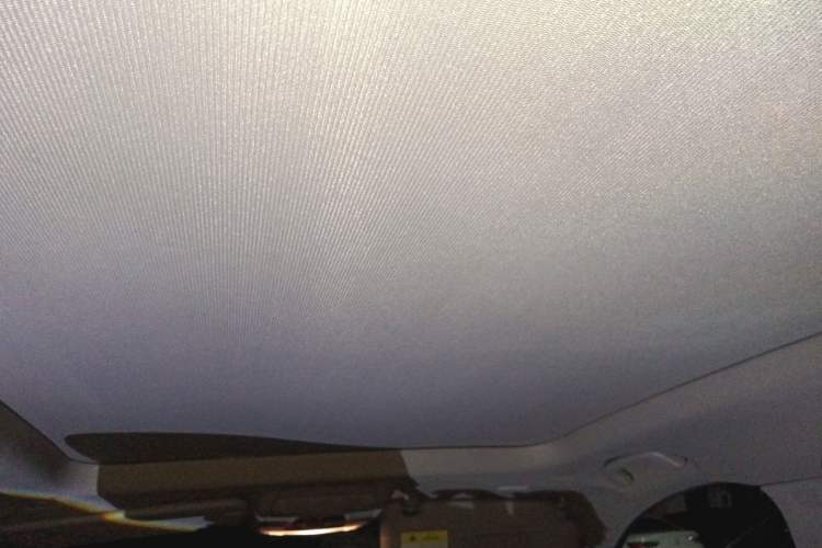 Used BMW X1 2019 sDrive20Li Leading Model Headliner