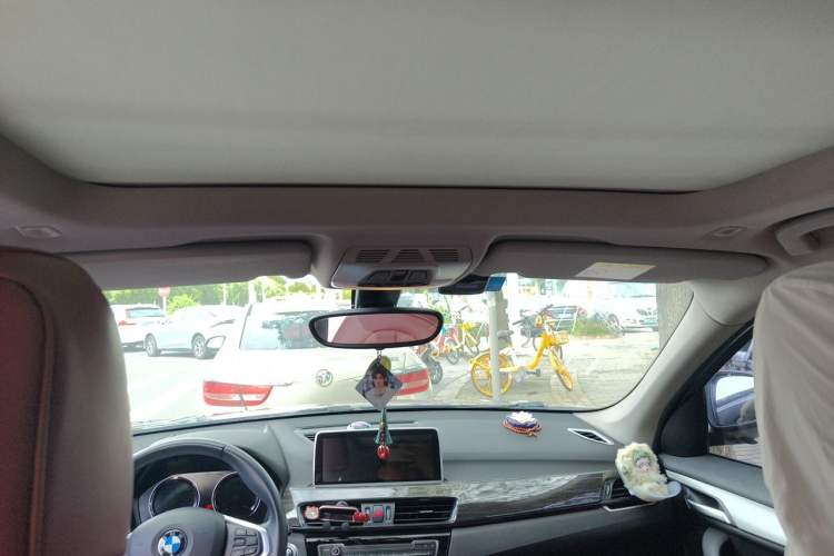 Used BMW X1 2019 sDrive20Li Leading Model Headliner