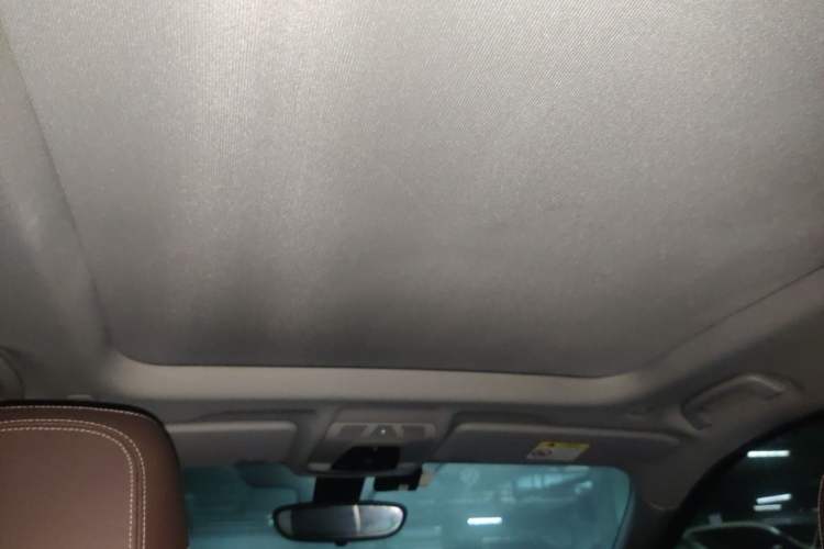 Used BMW X1 2019 xDrive20Li Luxury Model Headliner