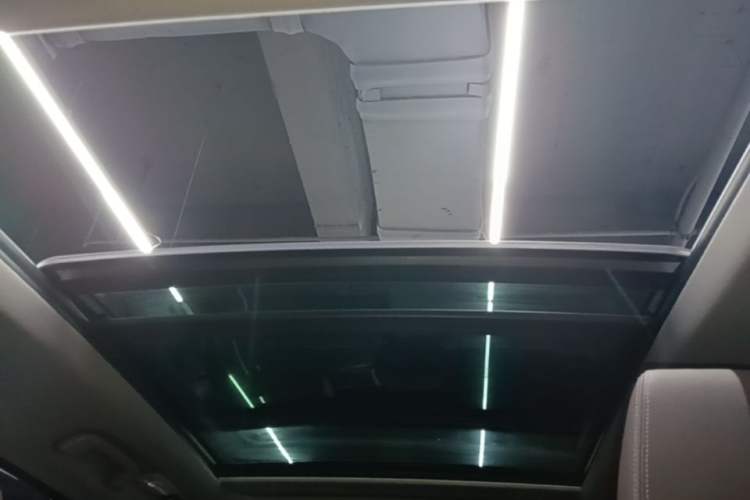 Used BMW X1 2019 sDrive18Li Premium Edition Headliner