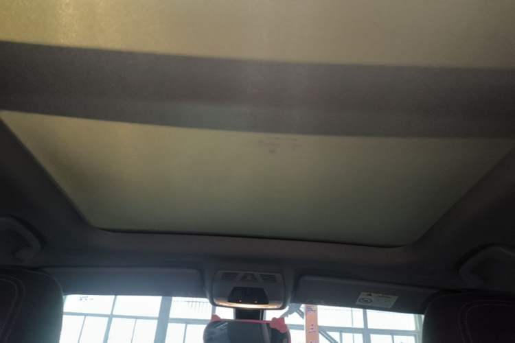 Used BMW X1 2019 xDrive20Li Luxury Model Headliner