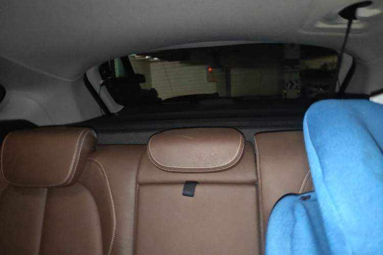 Used BMW X1 2019 xDrive20Li Luxury Model Headliner