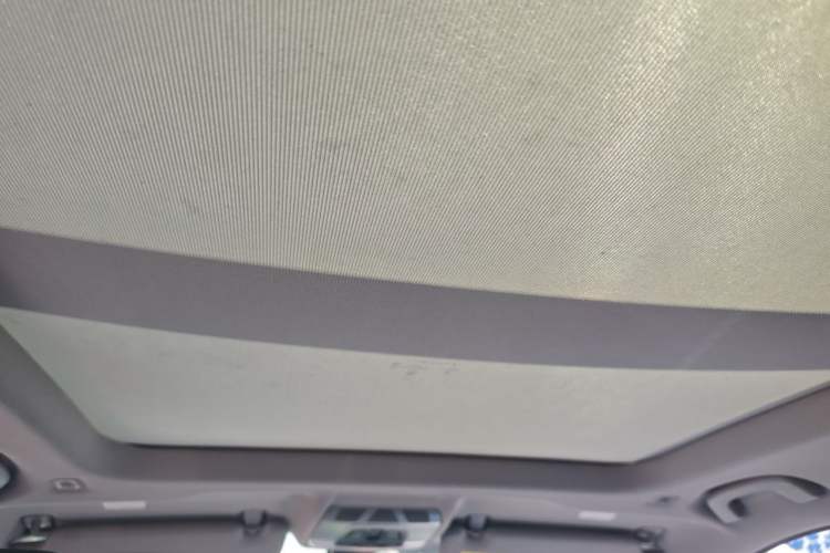 Used BMW X1 2019 sDrive20Li Leading Model Headliner