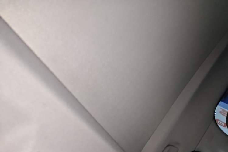 Used BMW X1 2019 xDrive20Li Luxury Model Headliner