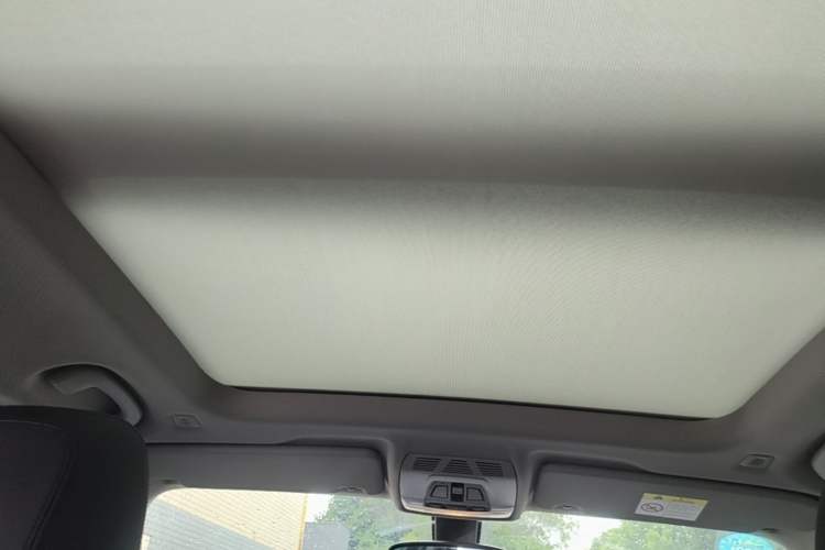 Used BMW X1 2019 sDrive20Li Leading Model Headliner