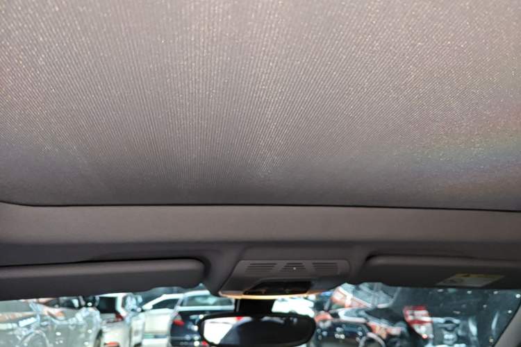 Used BMW X1 2019 xDrive20Li Luxury Model Headliner