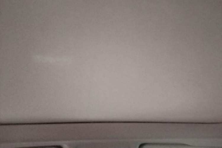 Used BMW X1 2019 sDrive20Li Leading Model Headliner