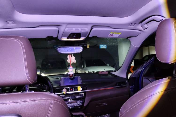 Used BMW X1 2019 sDrive18Li Premium Edition Headliner