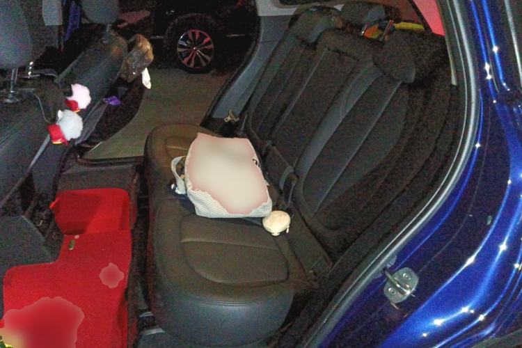 Used BMW X1 2019 sDrive20Li Leading Model Left Rear Seat