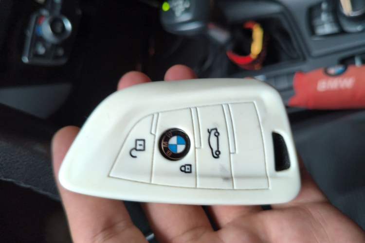Used BMW X1 2019 sDrive20Li Leading Model Vehicle Key
