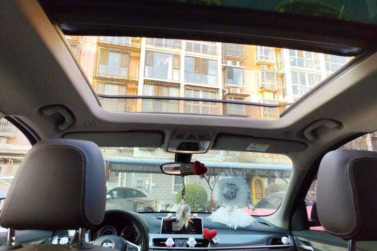 Used BMW X1 2019 xDrive20Li Luxury Model Headliner
