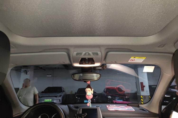 Used BMW X1 2019 sDrive20Li Leading Model Headliner