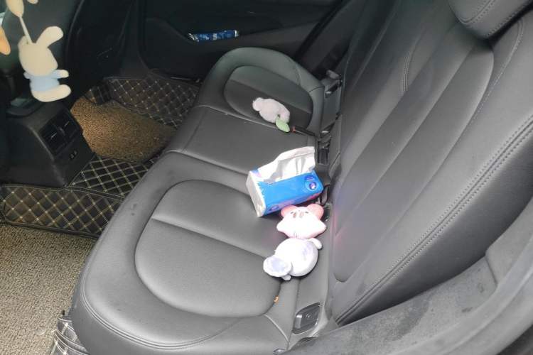 Used BMW X1 2019 sDrive20Li Leading Model Left Rear Seat