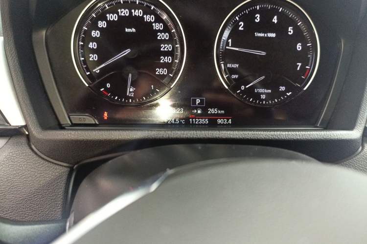 Used BMW X1 2019 sDrive20Li Leading Model Odometer Close Up