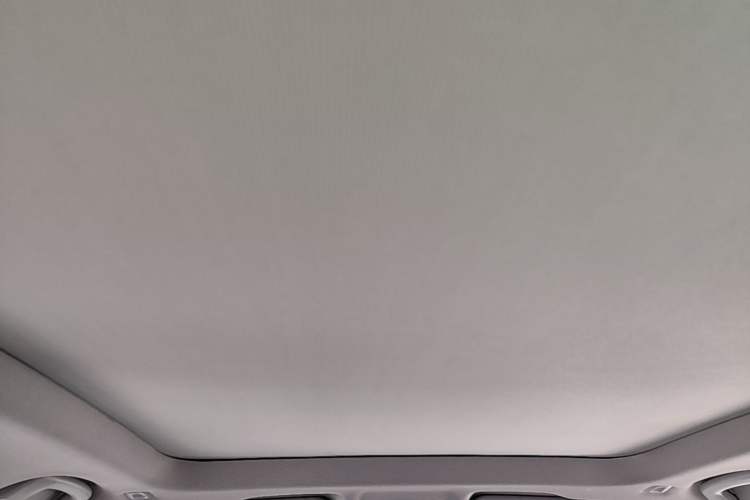 Used BMW X1 2019 sDrive20Li Leading Model Headliner