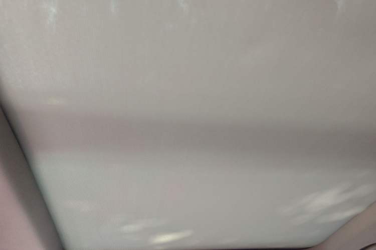 Used BMW X1 2019 sDrive18Li Premium Edition Headliner