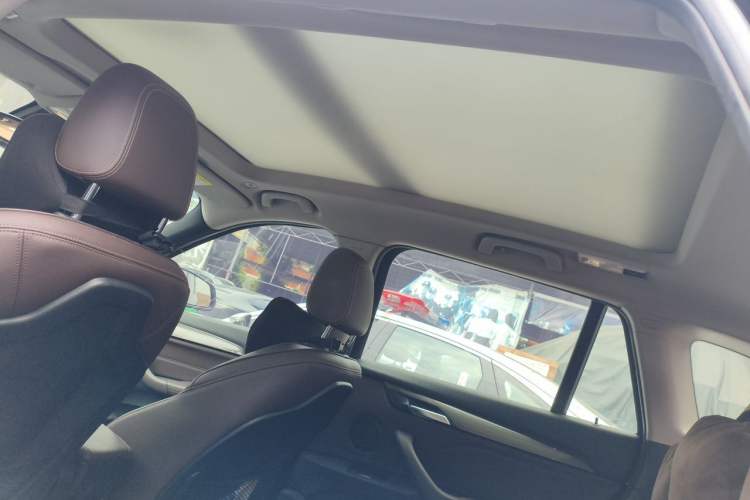 Used BMW X1 2019 xDrive20Li Luxury Model Headliner