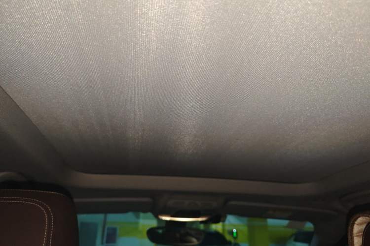 Used BMW X1 2019 sDrive18Li Premium Edition Headliner