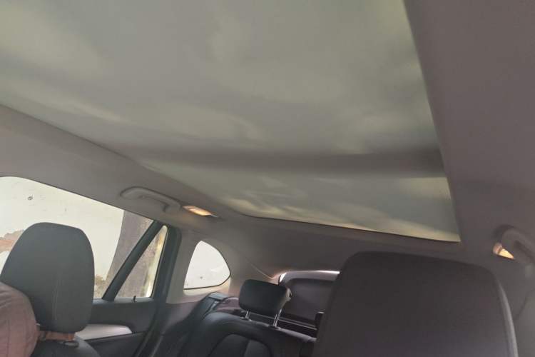 Used BMW X1 2019 sDrive20Li Leading Model Headliner