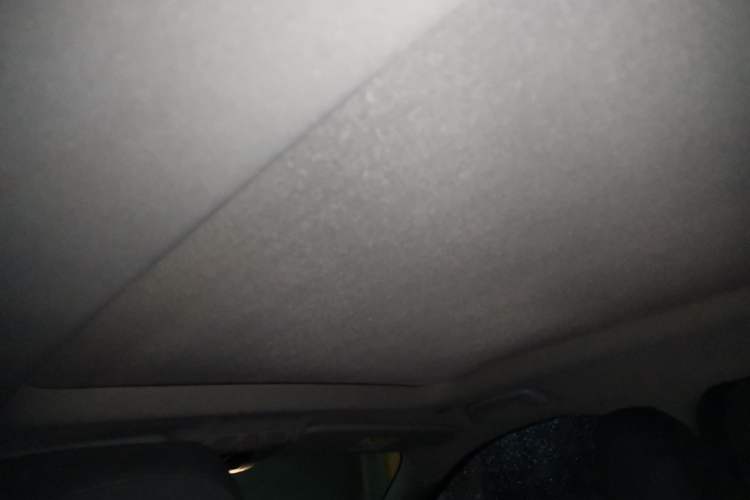 Used BMW X1 2019 sDrive20Li Leading Model Headliner