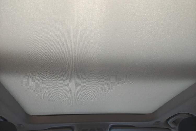Used BMW X1 2019 sDrive20Li Leading Model Headliner