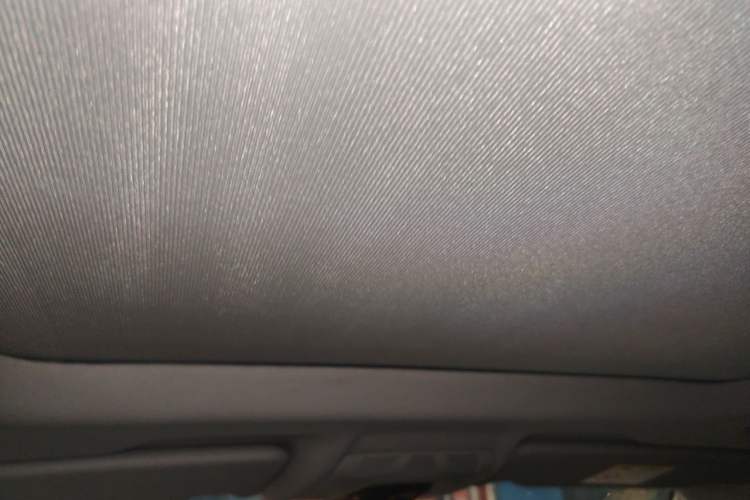 Used BMW X1 2019 sDrive18Li Premium Edition Headliner