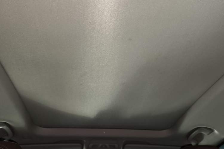 Used BMW X1 2019 xDrive20Li Luxury Model Headliner