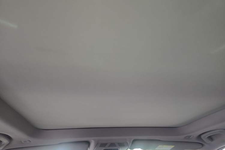 Used BMW X1 2019 xDrive20Li Luxury Model Headliner