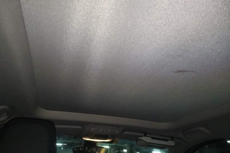 Used BMW X1 2019 sDrive20Li Leading Model Headliner