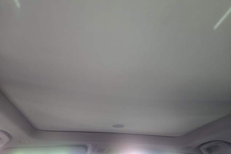 Used BMW X1 2019 xDrive20Li Luxury Model Headliner